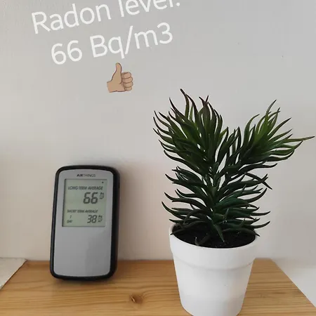 Homestay Roomserv *